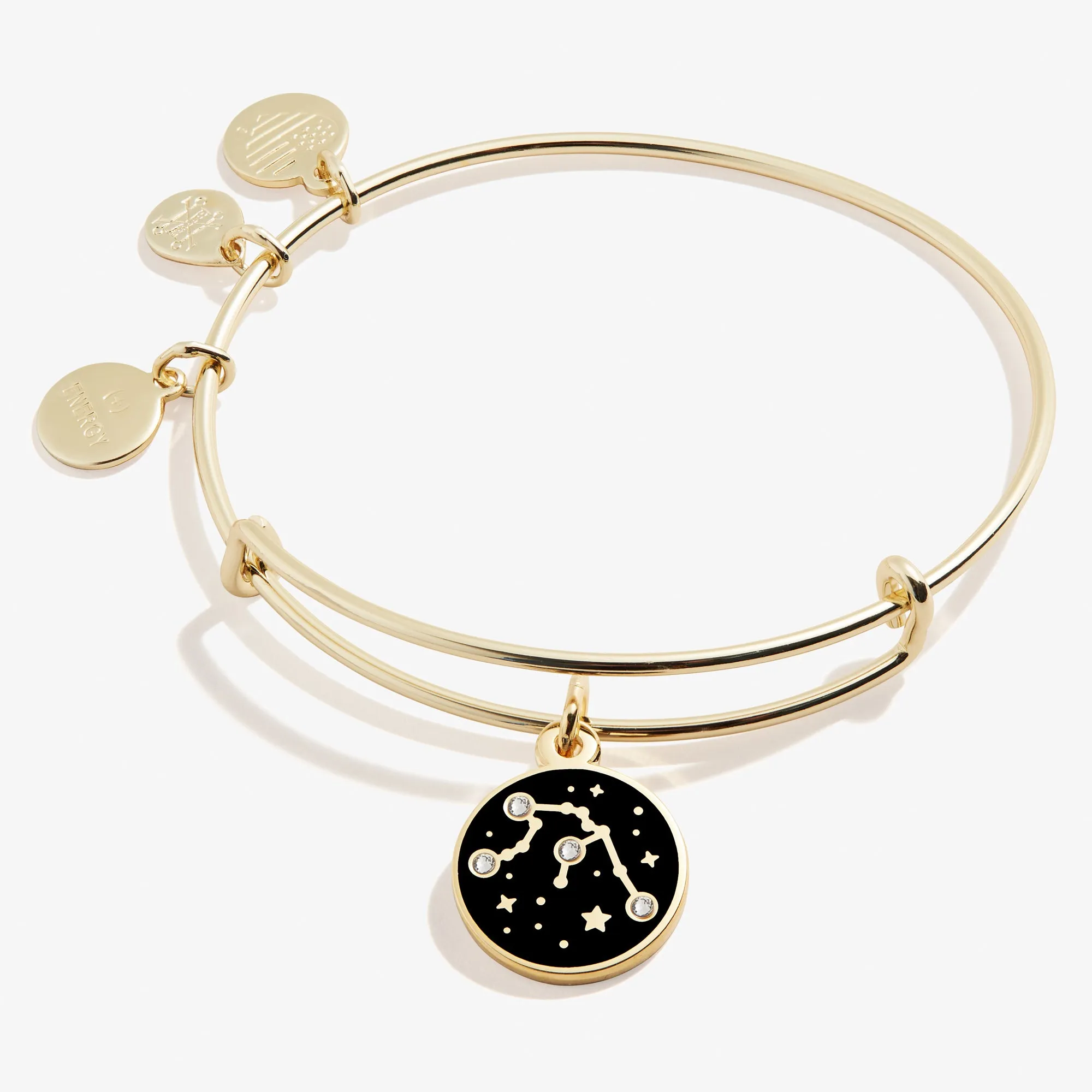 Aquarius Zodiac Charm Bangle