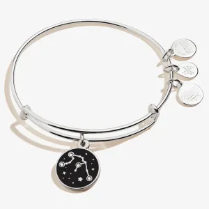 Aquarius Zodiac Charm Bangle