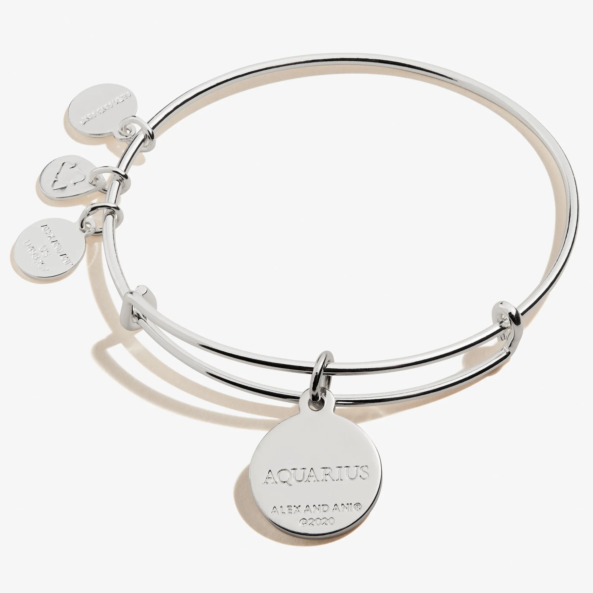 Aquarius Zodiac Charm Bangle