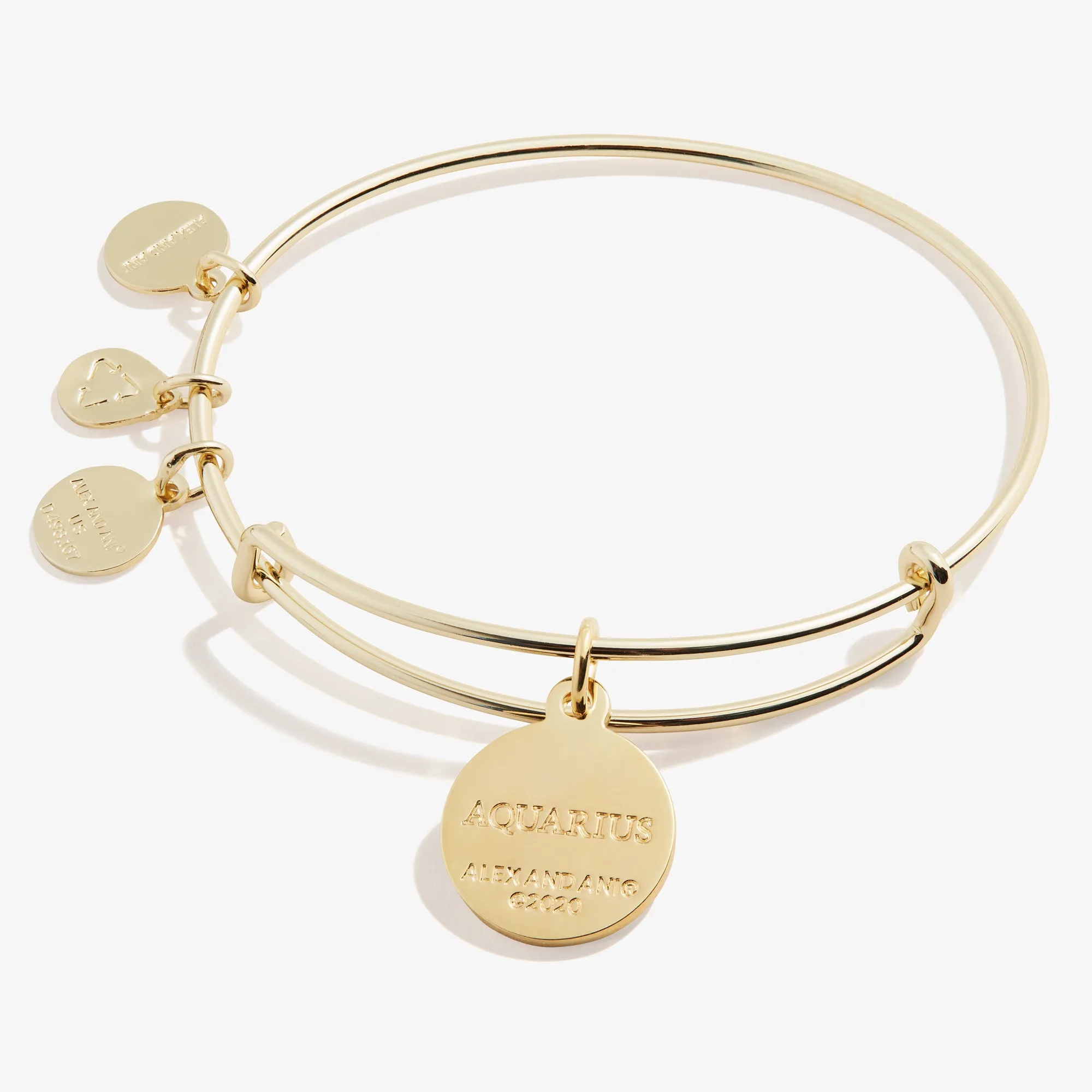 Aquarius Zodiac Charm Bangle