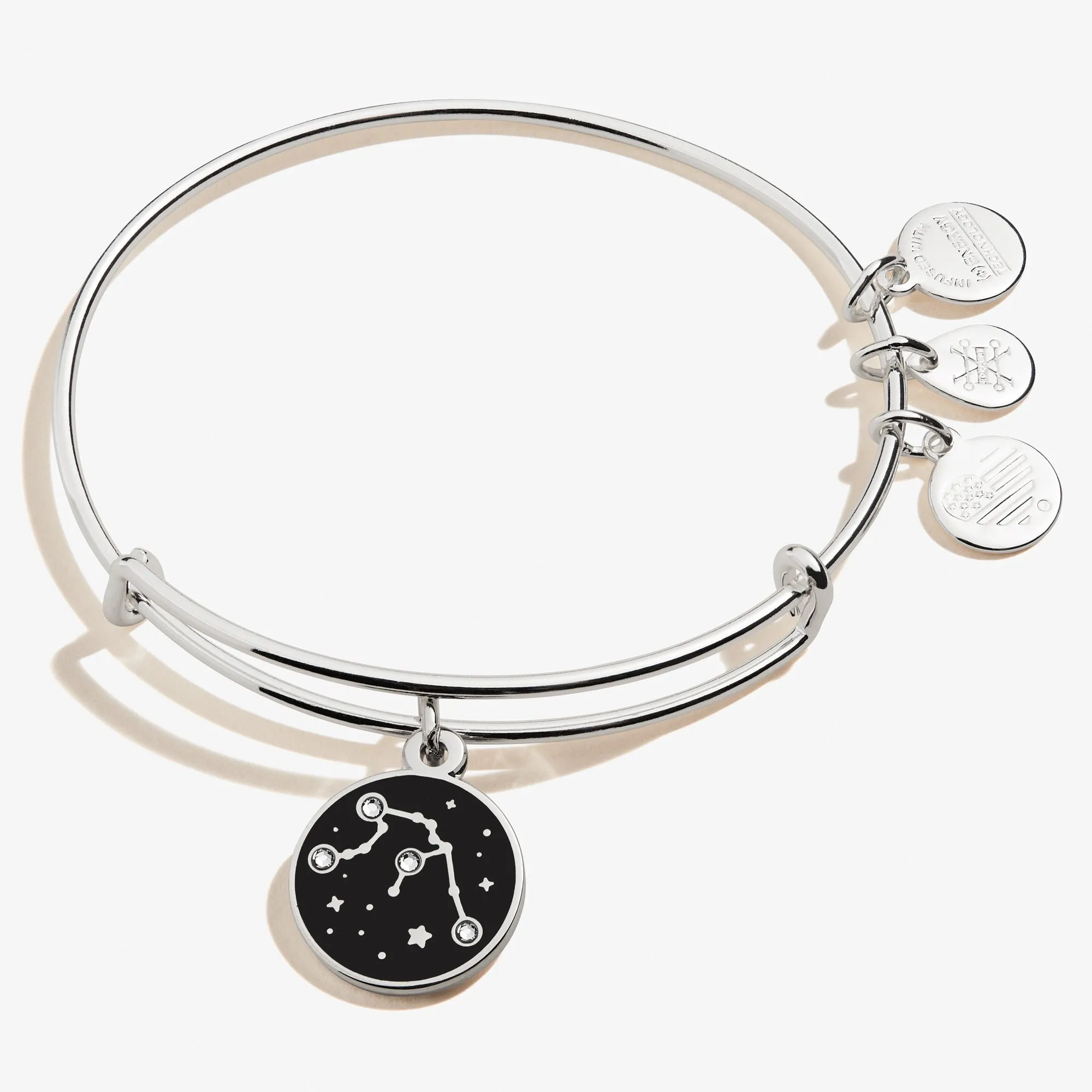 Aquarius Zodiac Charm Bangle