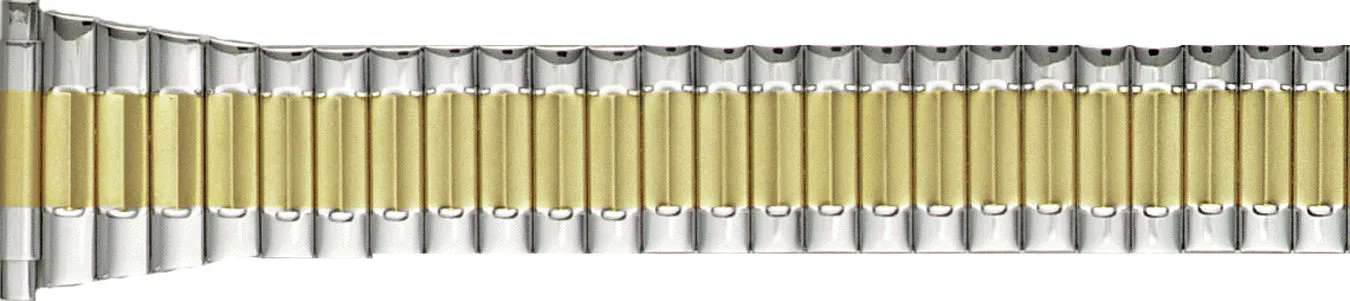 Expansion Watchband  3915
