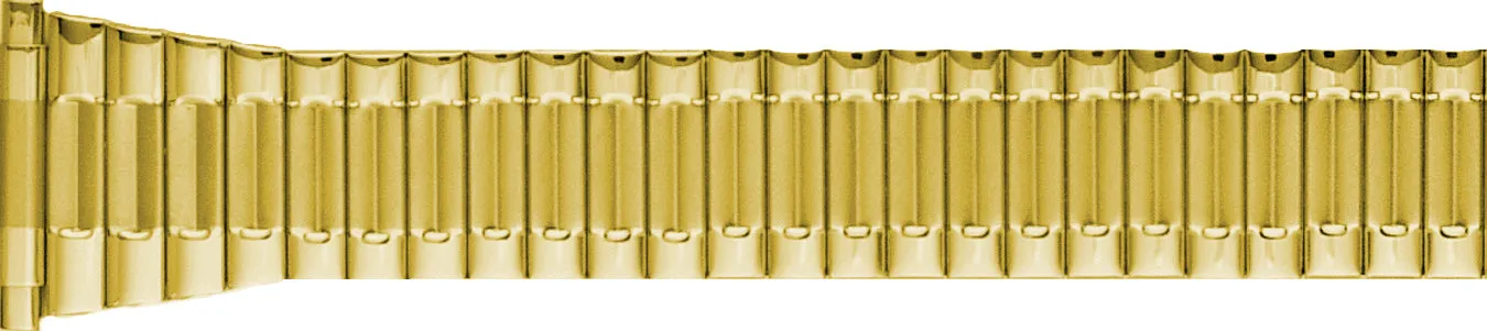 Expansion Watchband  3915