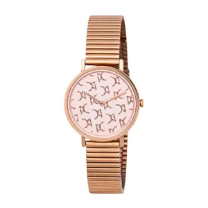 Pierre Cardin Metal Analog Women's Watch CBV.1540